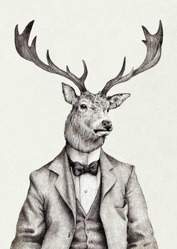 Mr. Buck II