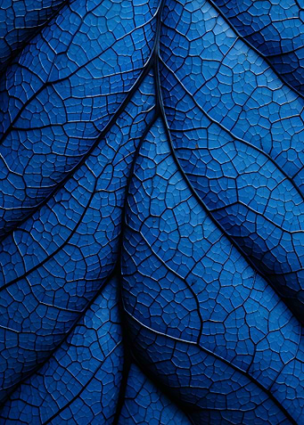 Blue Leaf Veins