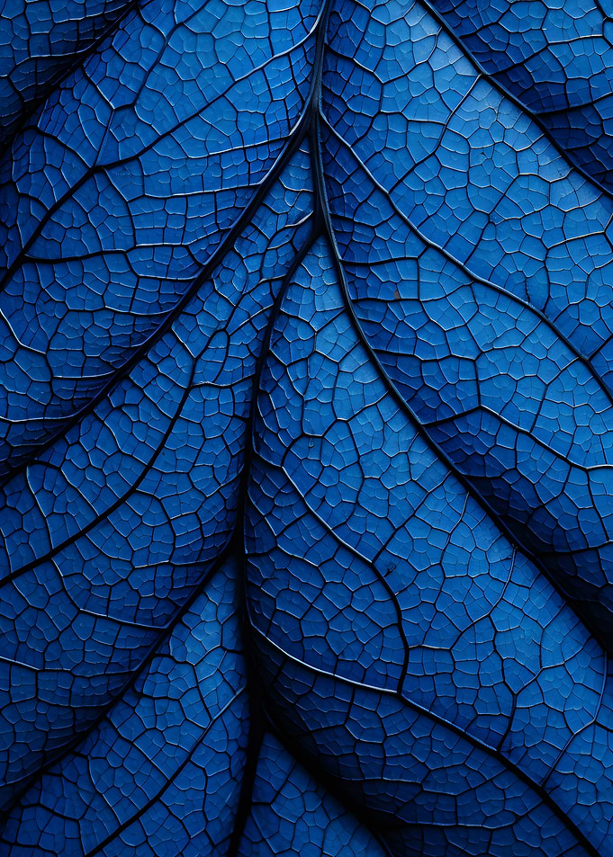 Blue Leaf Veins