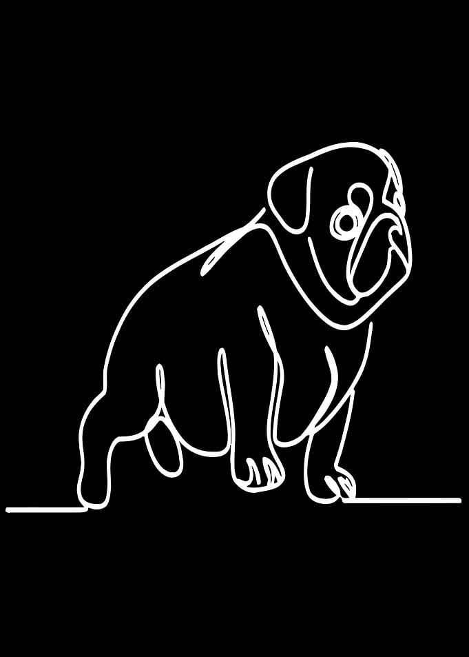 Pug Line Art