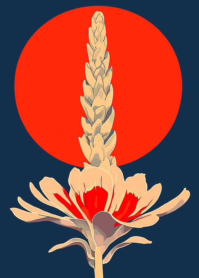 Red Sun Flower