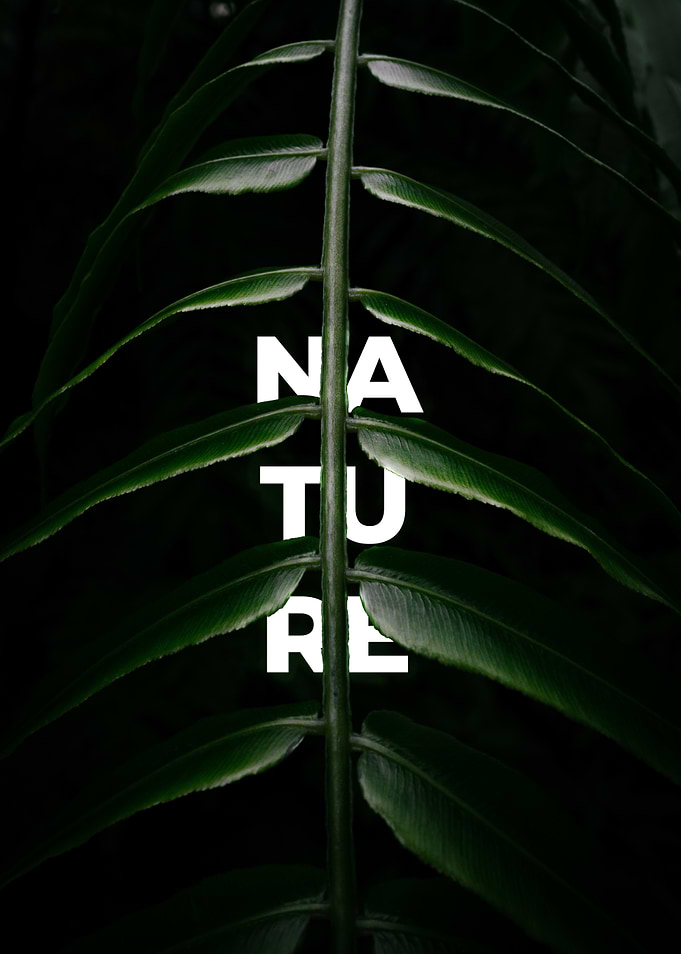 Nature Leaf Art