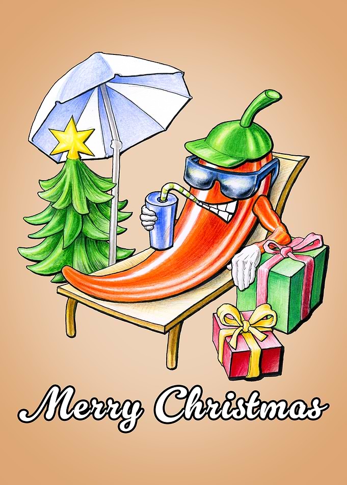 Funny Merry Christmas Chilli Sunbathing