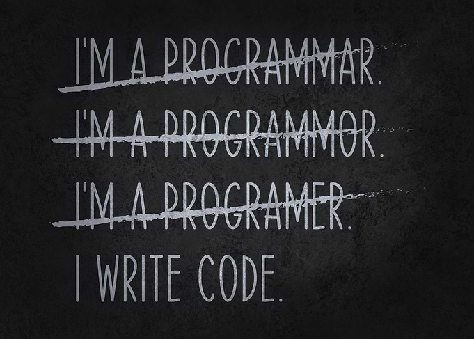 Funny Programmer - I Write Code