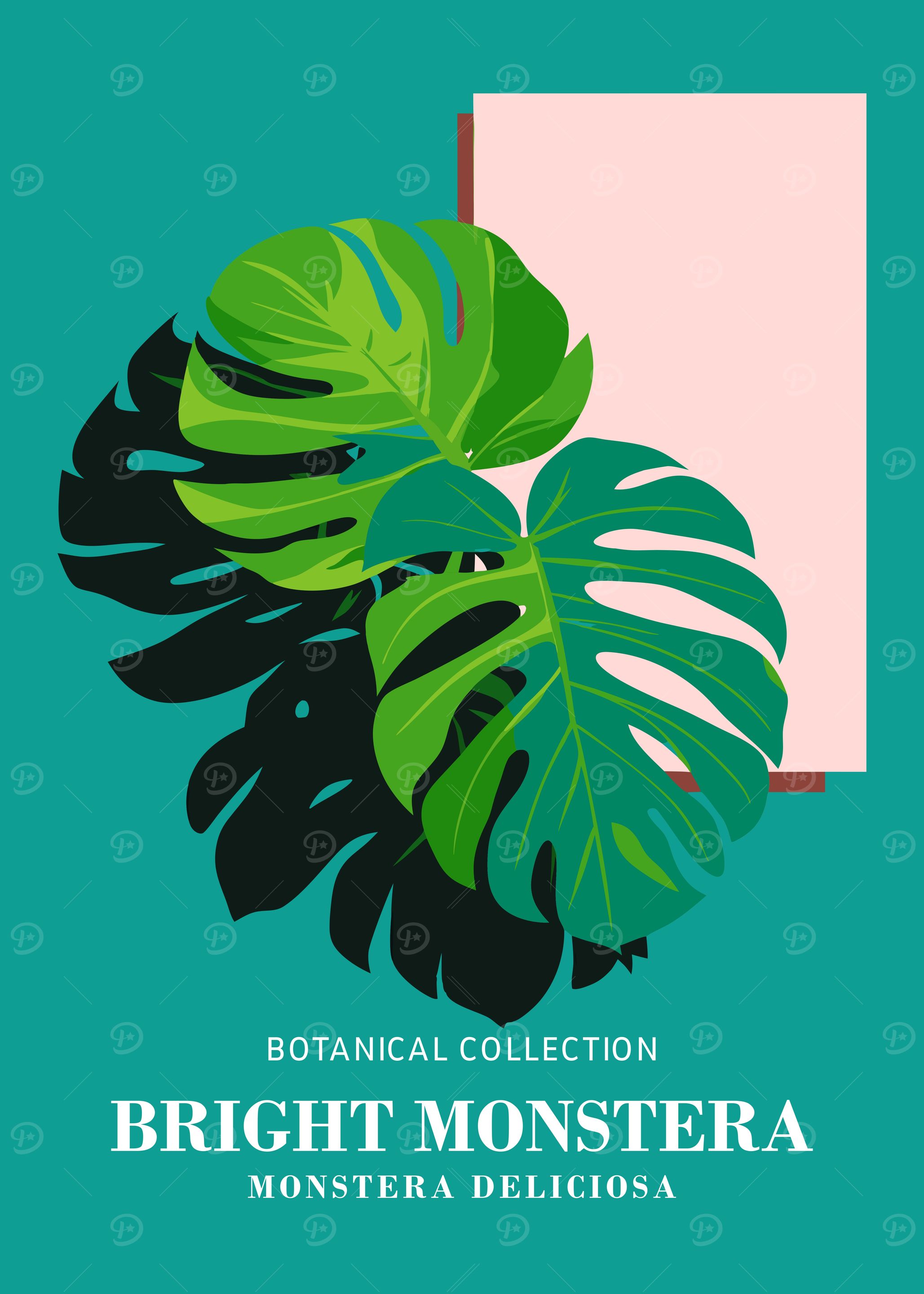 Monstera Deliciosa Illustration
