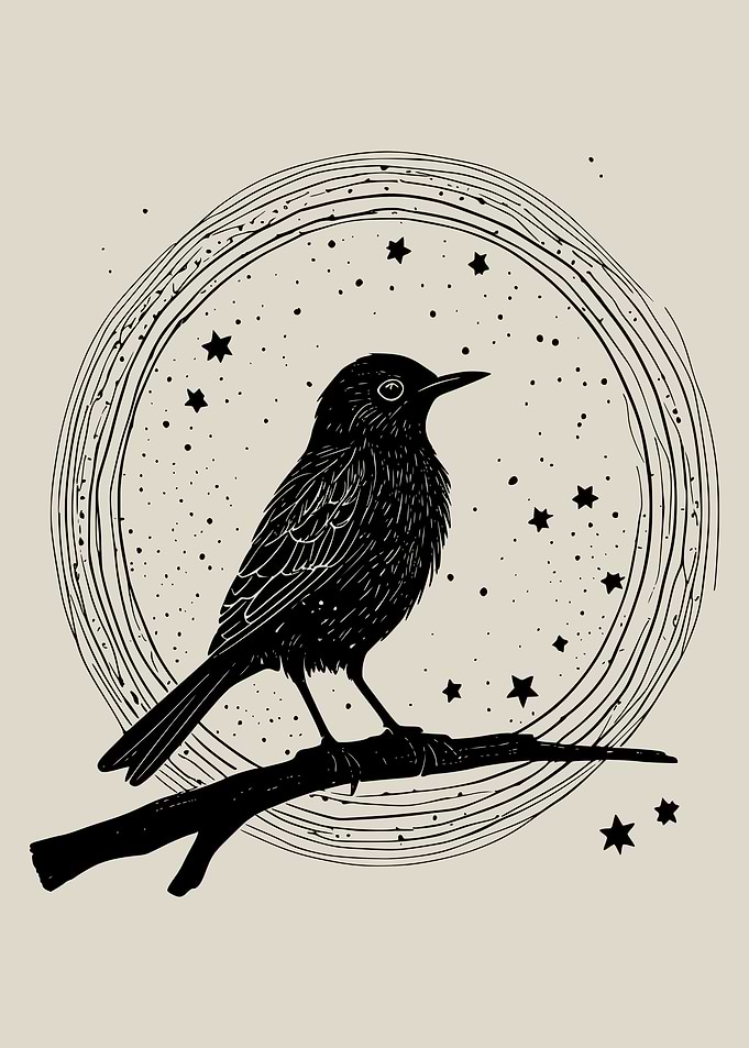 Blackbird Celestial Stars and Bird Drawing