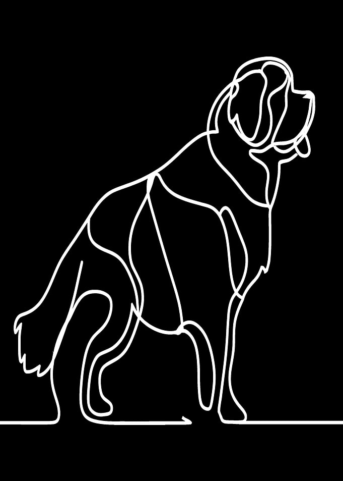 Dog Line Art