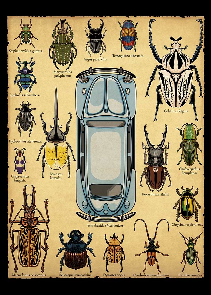Scarabaeidae Mechanicus.