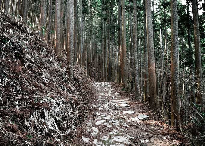 A Lonely Path