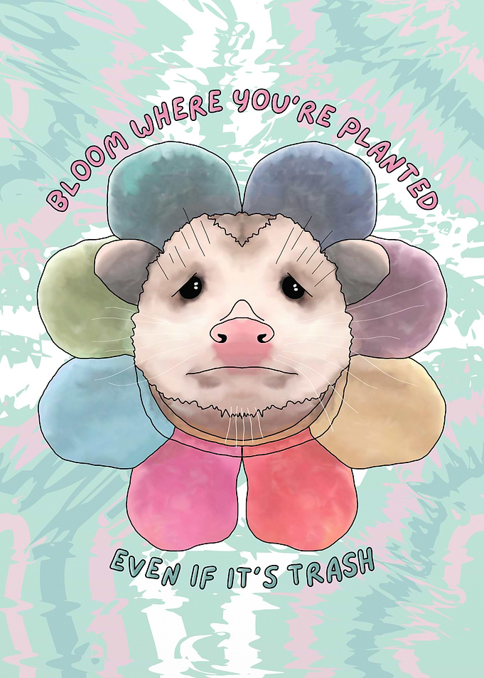 Bloom Where You're Planted, Sad Opossum Meme