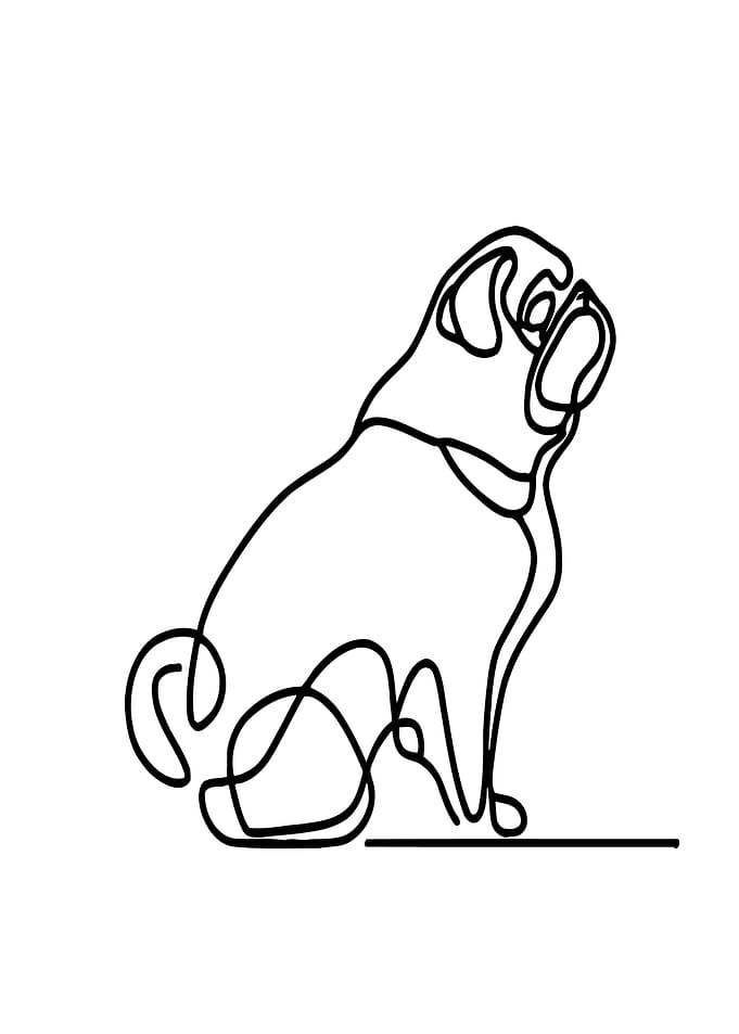 Pug Line Art
