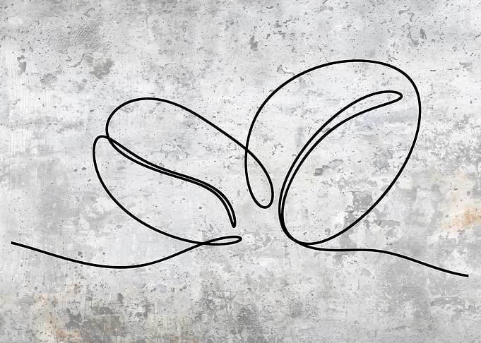 Coffee Bean Line Art