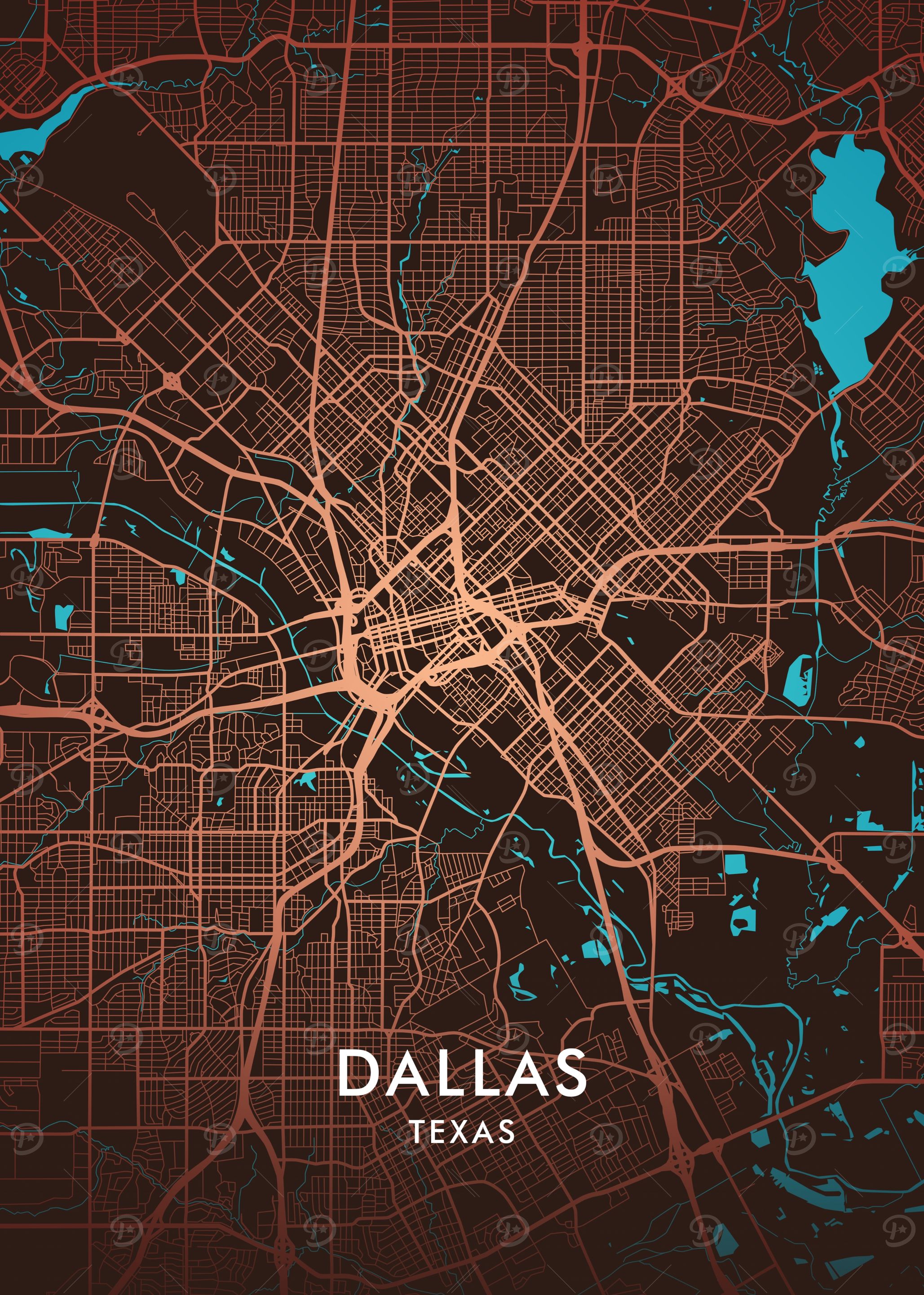 Dallas City Map