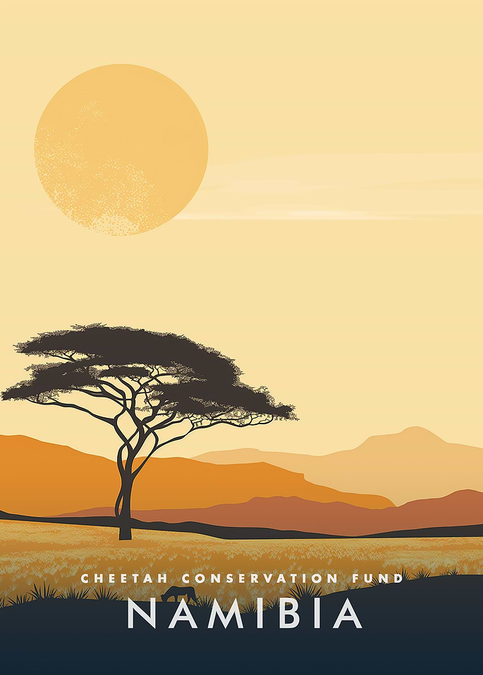 Namibia Cheetah Conservation