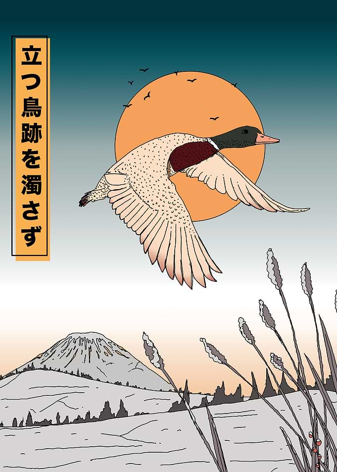 Flying Duck Sunset