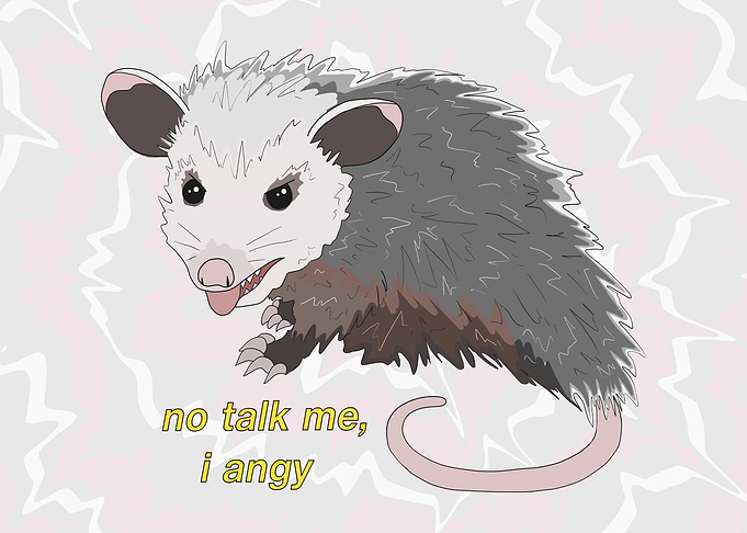 No Talk Me, I Angy - Angry Baby Opossum Meme