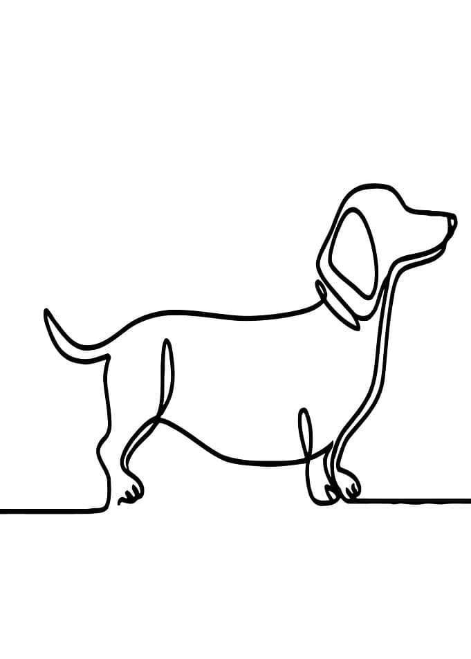 Dachshund Line Art
