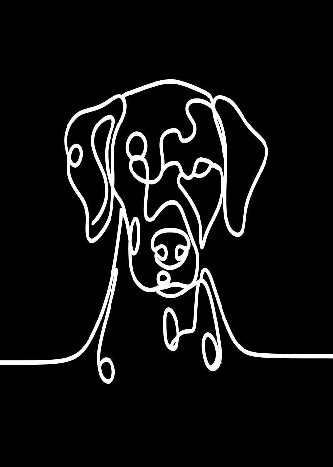 Dog Line Art