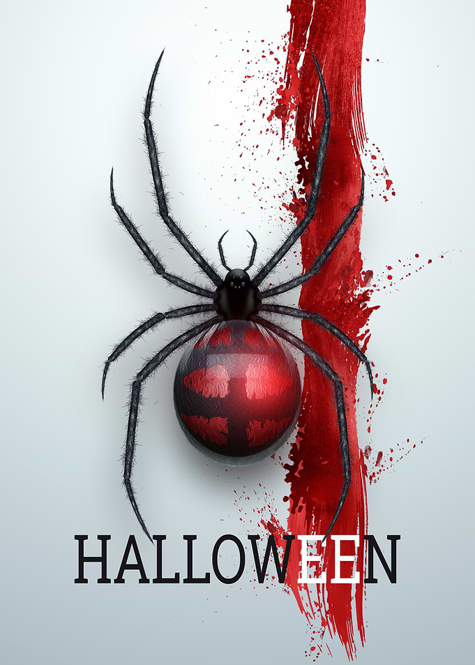 Halloween Spider