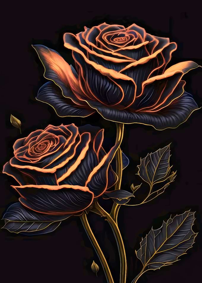 Black and Gold Roses