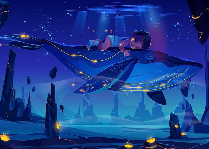 Sleeping on a Whale
