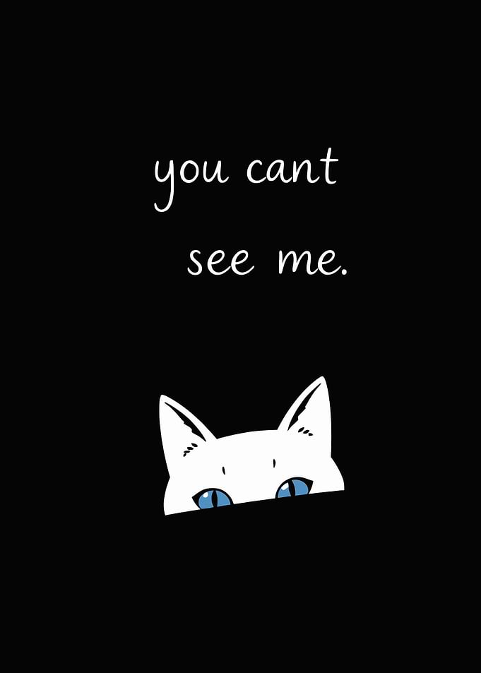 Hidden White Cat