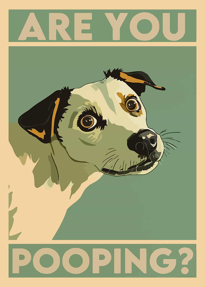 Dog Poster - Are You Pooping?