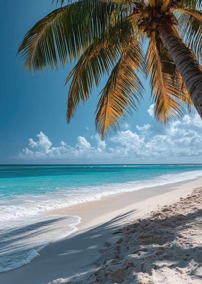 Palm Tree Beach