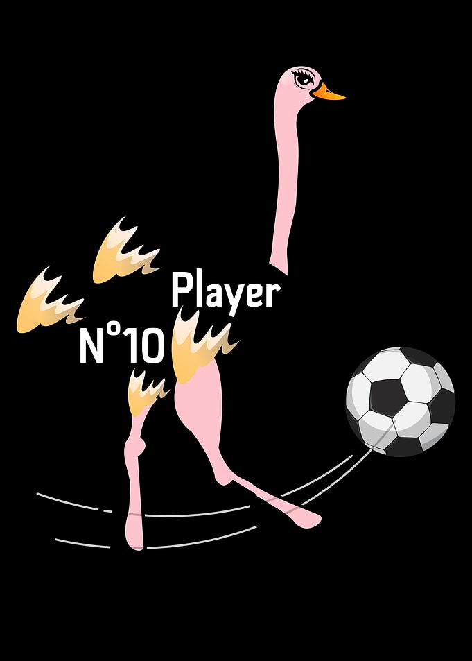 Ostrich Soccer Player