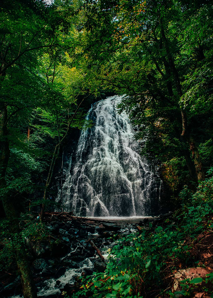 Waterfall in Lush Forest