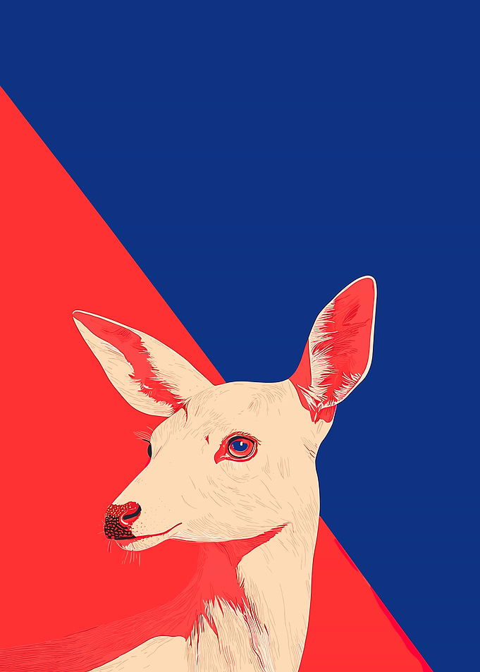 Red and Blue Deer