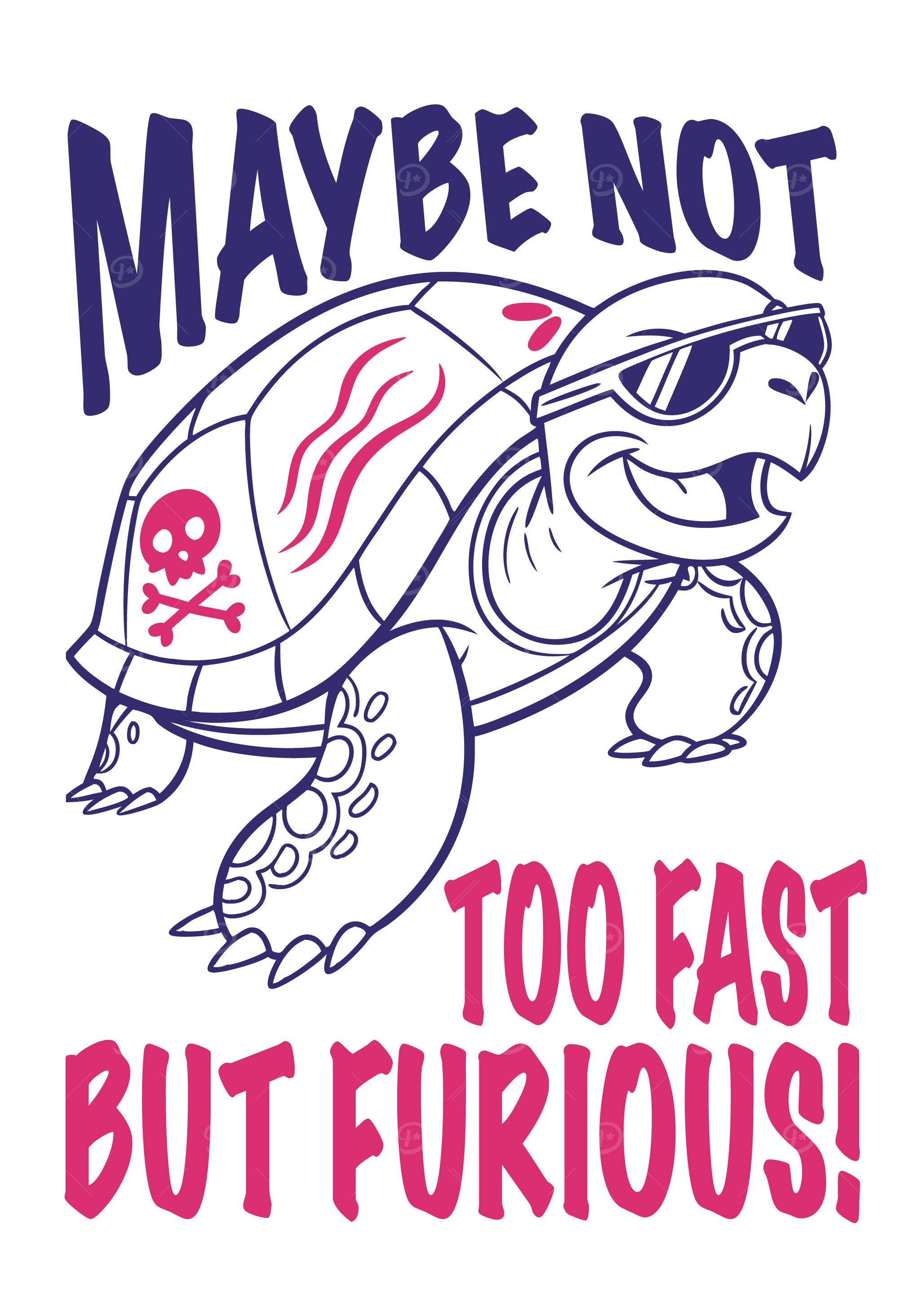 Furious Turtle Design