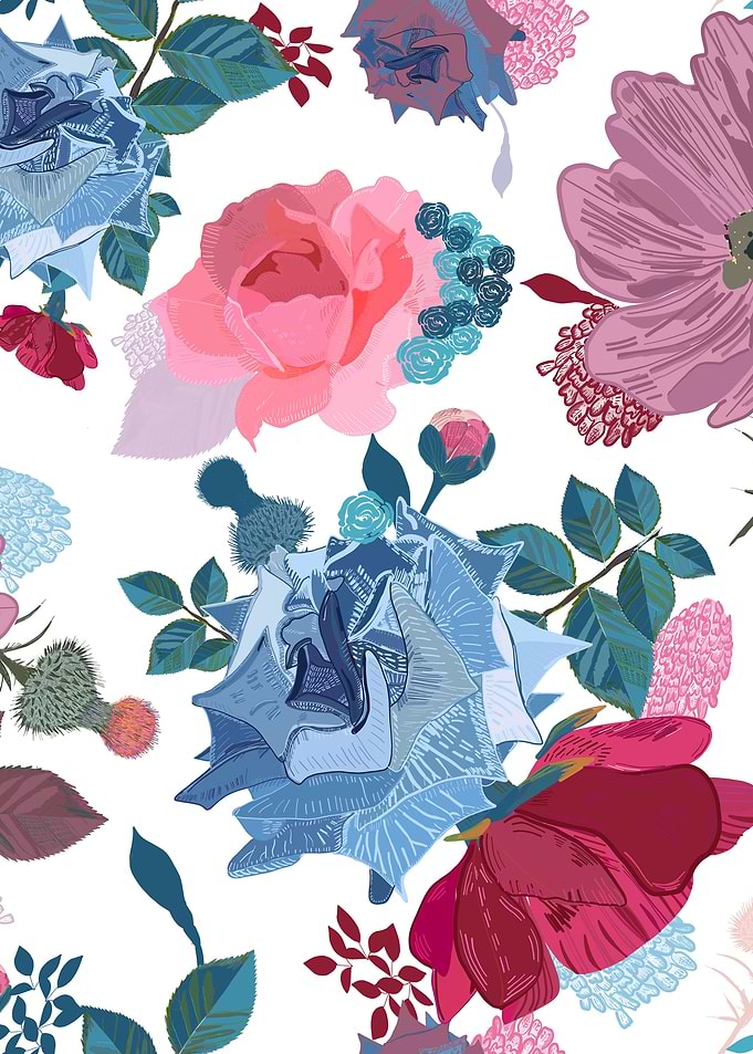 Blue and pink roses