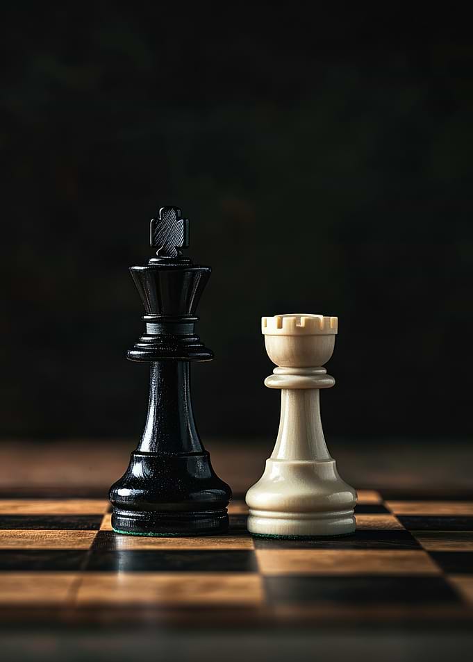 Chess King and Rook