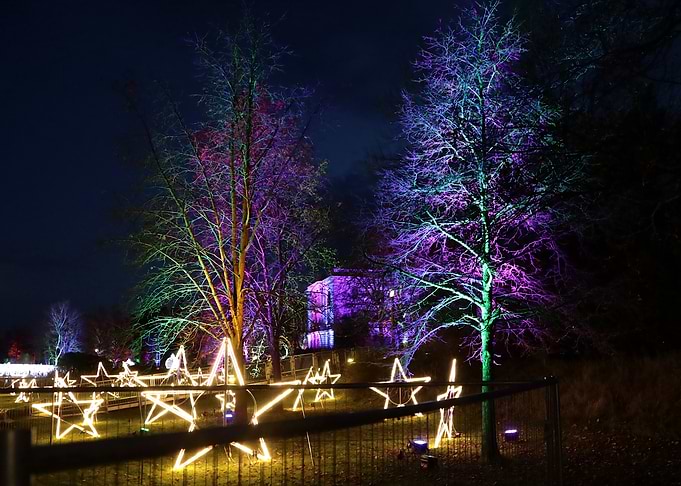 Illuminated Stars in Garden