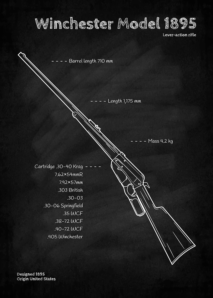 Winchester Model 1895 Rifle