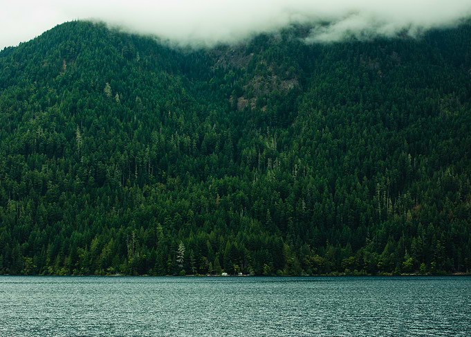 Misty Mountain Lake