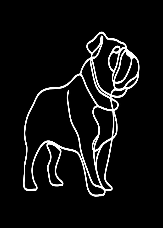 Line Art Bulldog