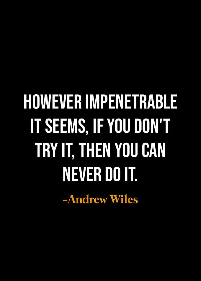 Motivational Quote - Andrew Wiles