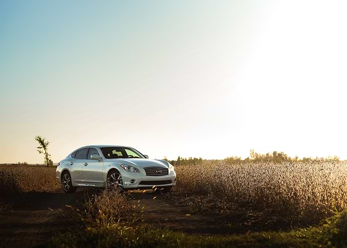 White Infinity in the field