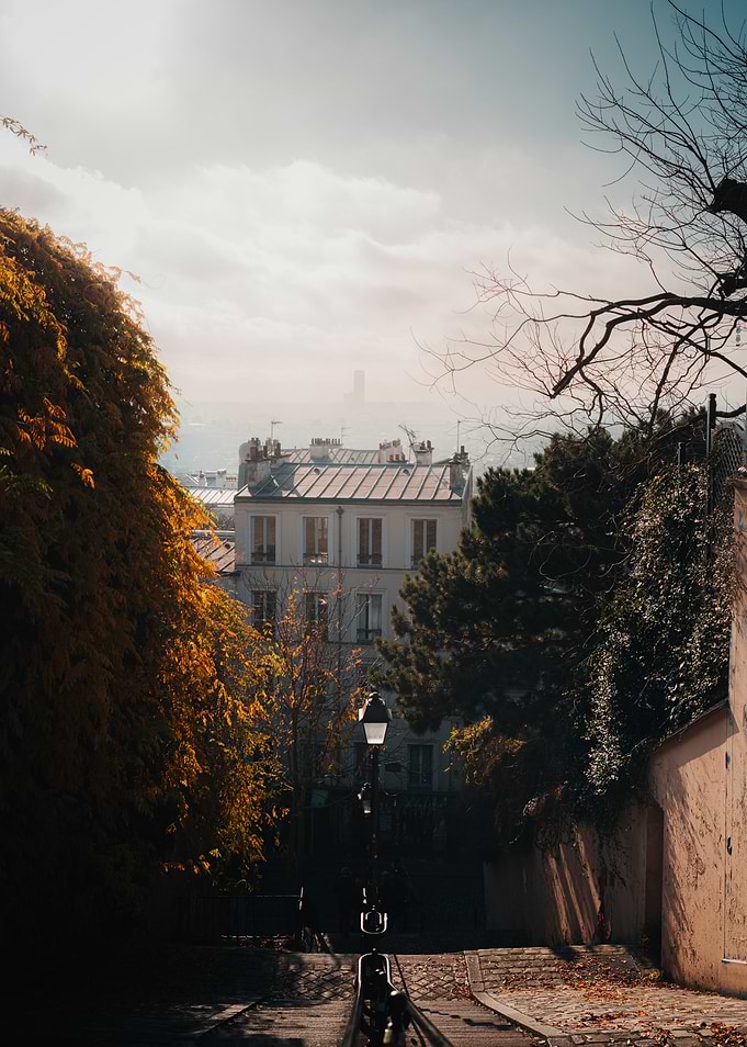 Parisian Street Scene