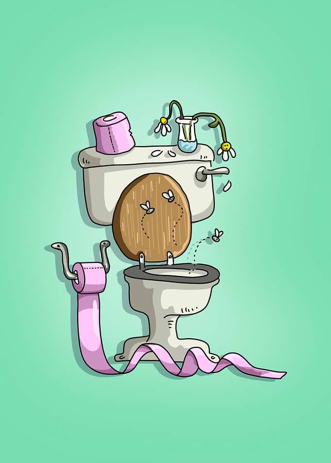 Funny Dirty Toilet with Flies