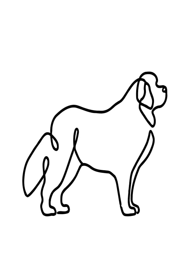 One Line Saint Bernard Dog Illustration