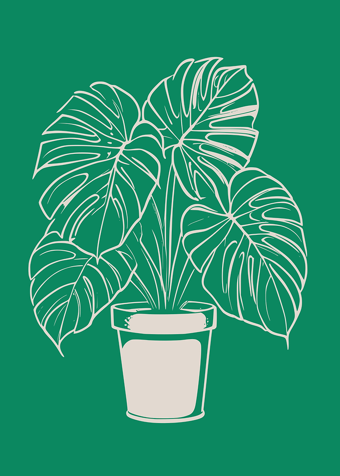 Monstera Plant Illustration in Green