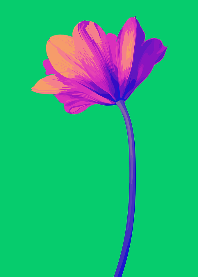 Single Pink Pop Art Flower