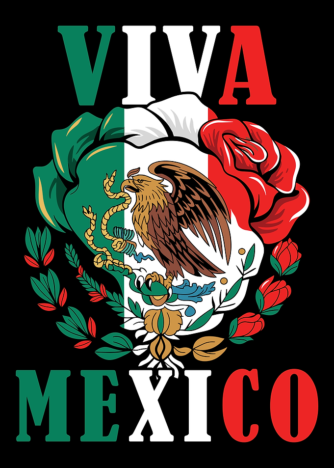 Viva Mexico Flag Design