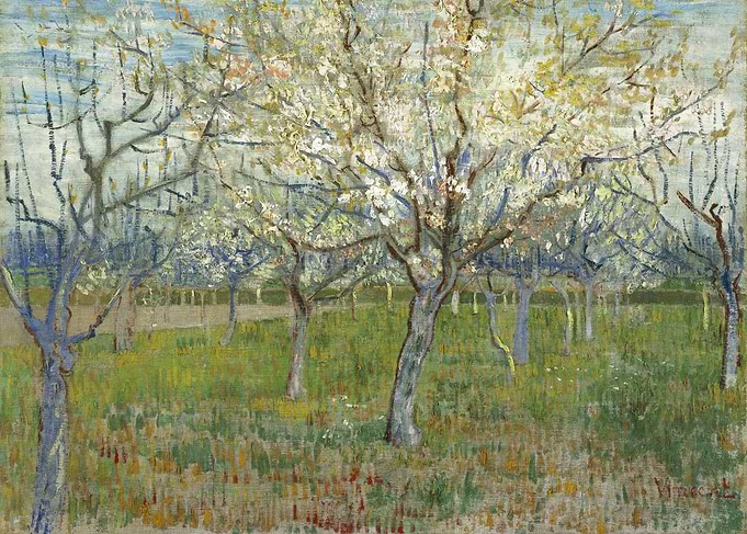 Blooming Orchard