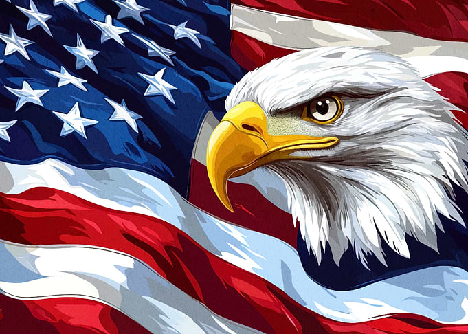 American Bald Eagle