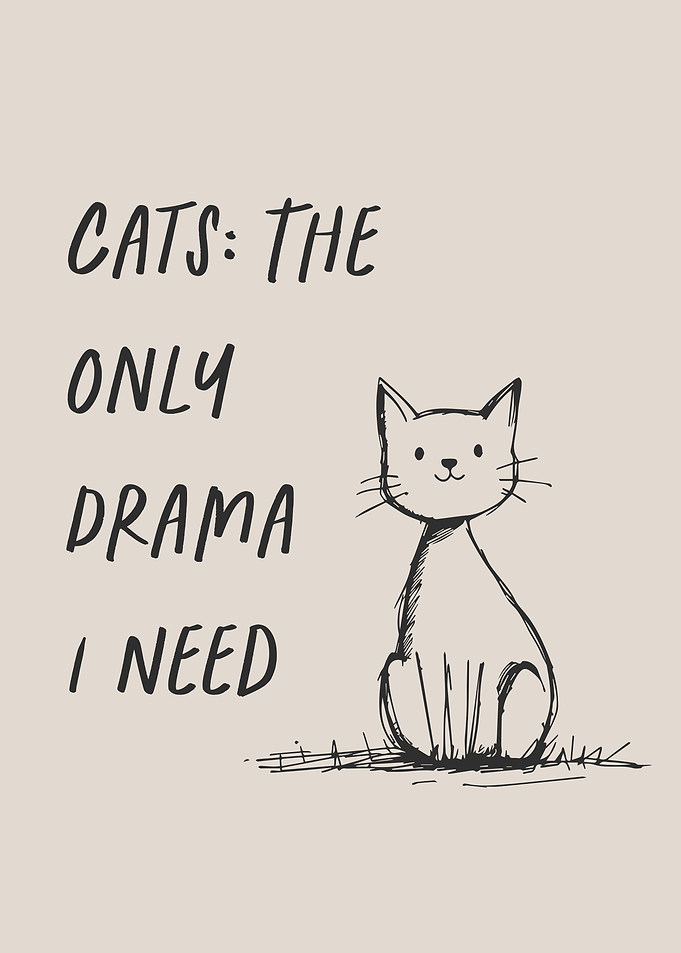 Funny Quote for Cat Lovers