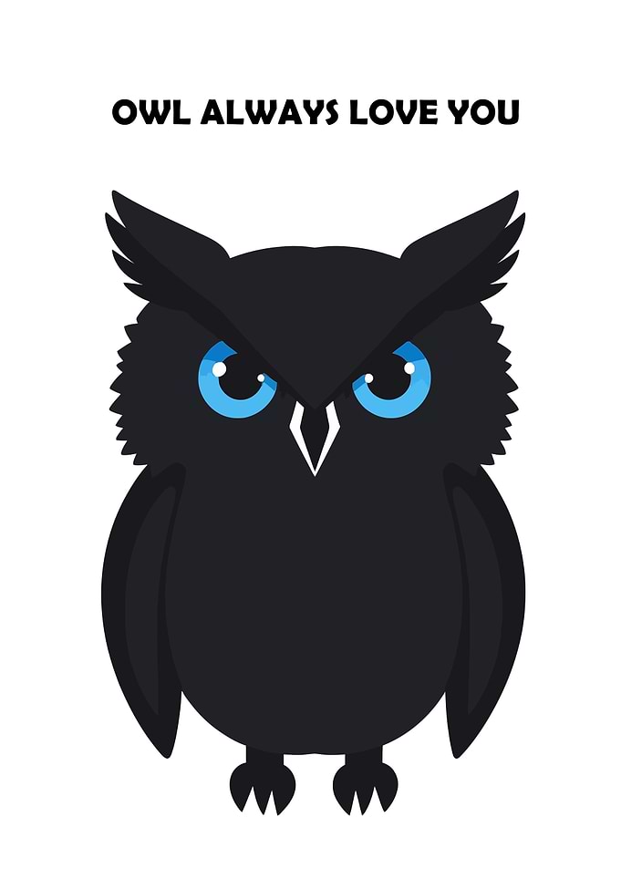 Owl Love You